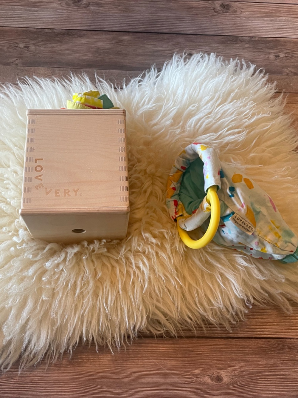 Lovevery Senser Play Kit ~ 11-12 months